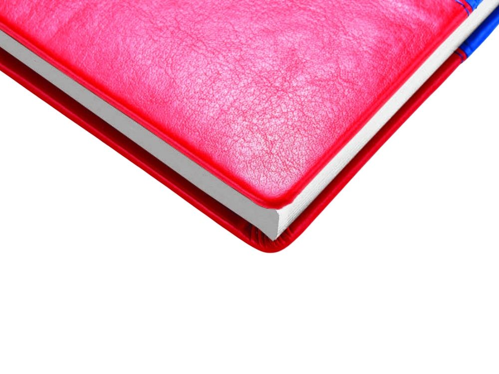 Ежедневник недатированный А5+ "Россия. Флаг"