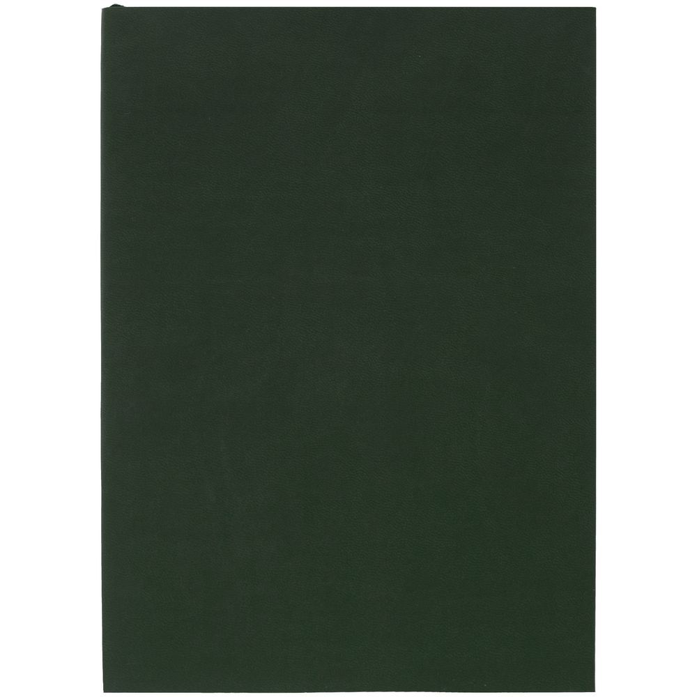 Ежедневник Flat Light, недатированный, зеленый
