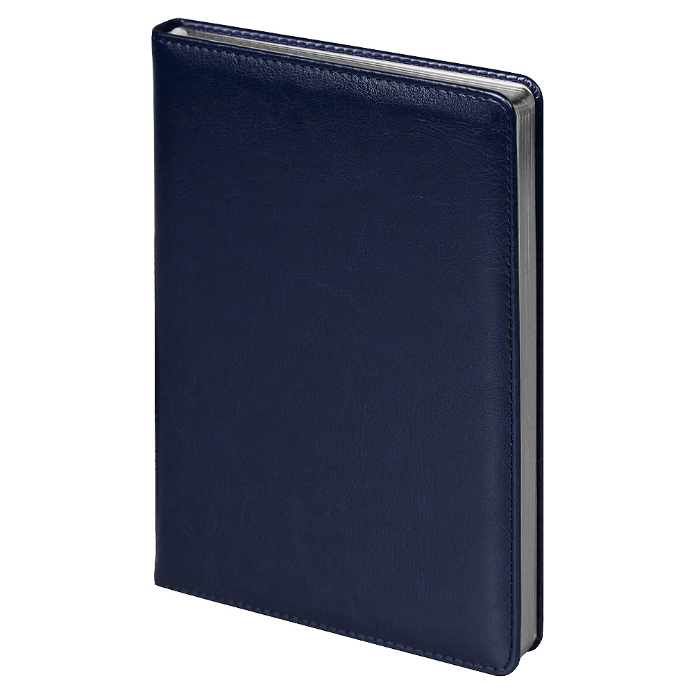 Ежедневник City Nebraska Tennessee A5, недатированный, темно-синий  с серебристым срезом