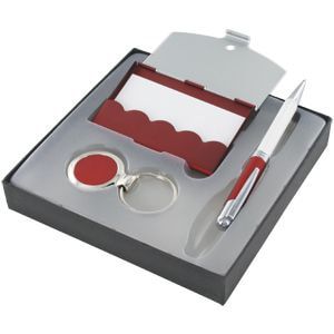 Набор: авторучка, брелок и визитница; красный с белым; 16х16 см; металл