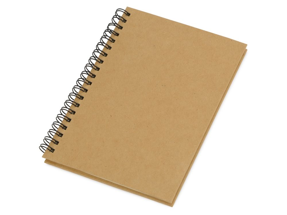 Блокнот А6+ «Mendel»