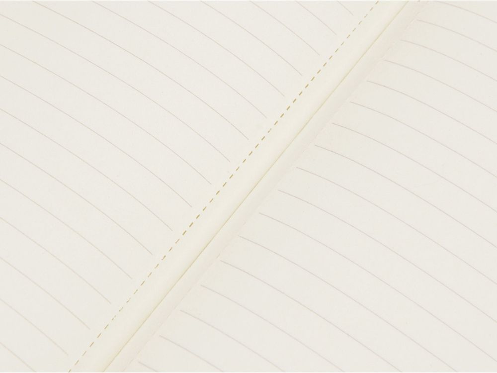 Блокнот «Notepeno» А5 с тонированными линованными страницами, зеленое яблоко