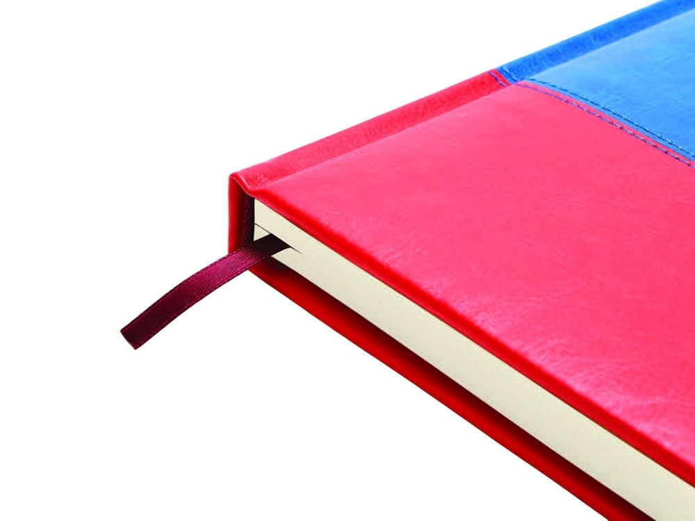 Ежедневник недатированный А5+ "Россия. Флаг"