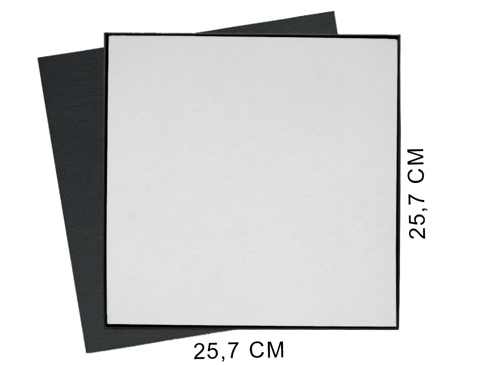 Коробка подарочная Solution Superior Alfa Fabrique, под индивидуальную вырубку, черная, 25,7x25,7x2,8 см, бежевый ложемент