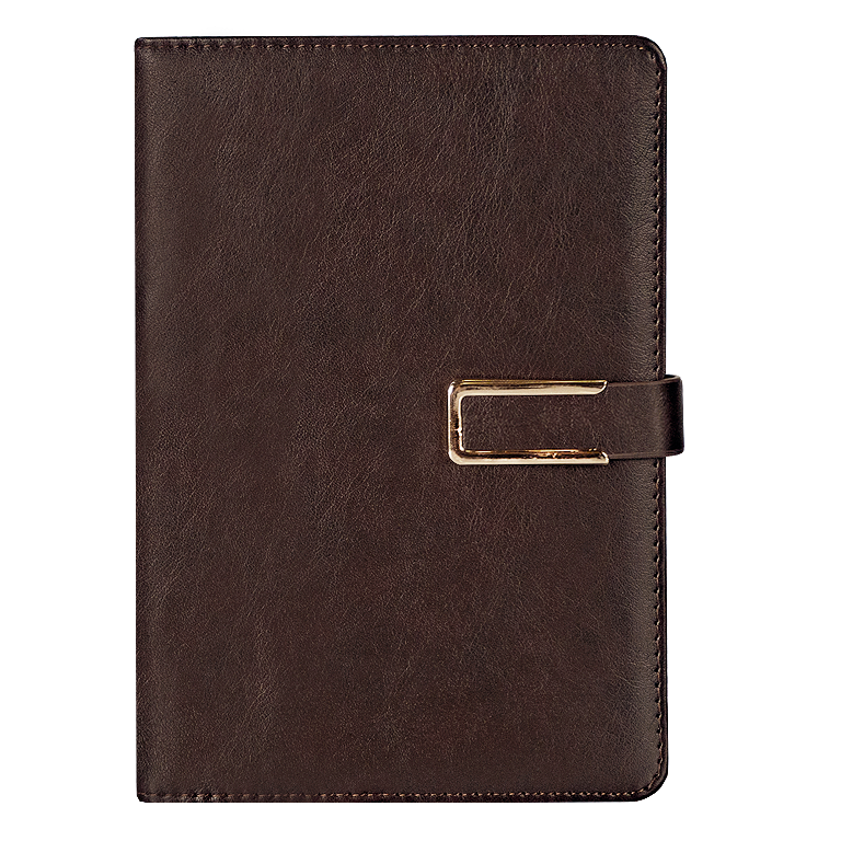 Ежедневник City Bary Mocco A5 в подарочной коробке, коричневый с золотистым, недатированный, в твердой обложке