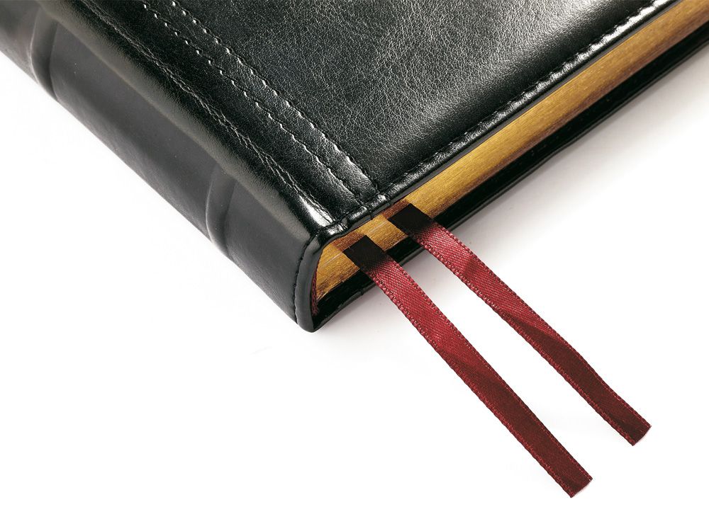 Ежедневник А5 полудатированный «Boss», черный