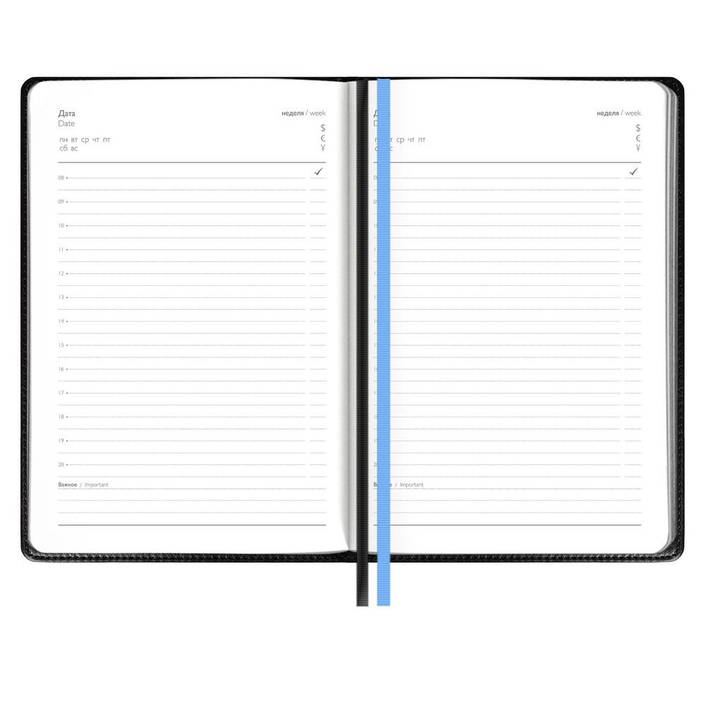 Ежедневник Alanis, недатированный, черный с голубым