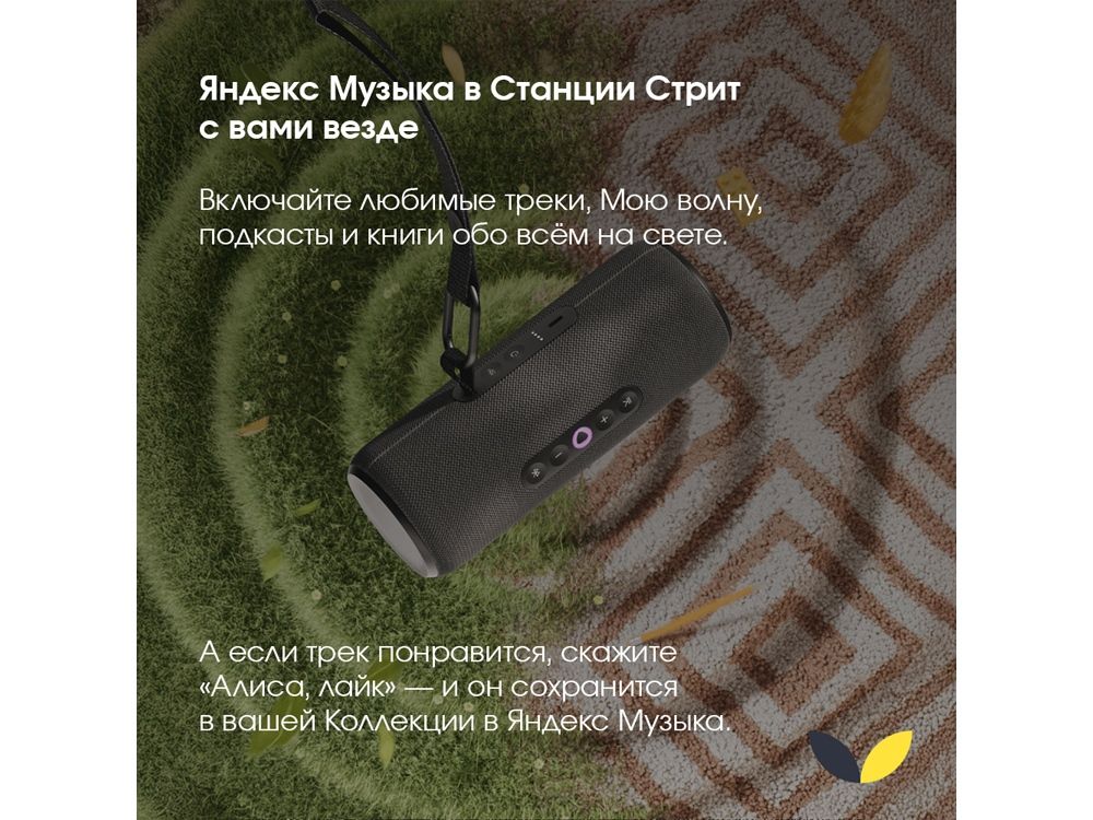 Умная портативная колонка Яндекс Станция Стрит с Алисой, черный (YNDX-00030BLK)