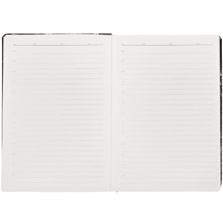 Ежедневник «Золотая Жила»